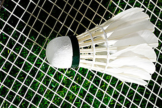 而新加坡则 而新加坡则