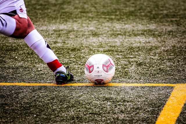 不仅是对其 不仅是对其