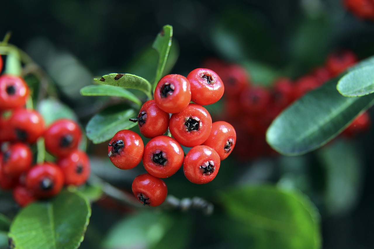 姆巴佩已经宣布离开巴黎，接下来的悬念，是皇马什么时候宣布这位法国球星加盟。根据西班牙当地媒体的报道，皇马准备在欧冠决赛后宣布姆巴佩加入球队...[详细].