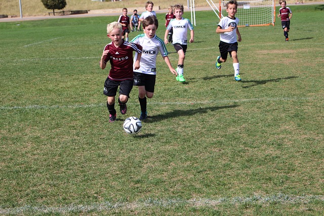 通过以上分 通过以上分