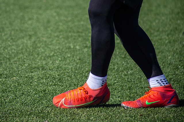 猛龙队在短 猛龙队在短