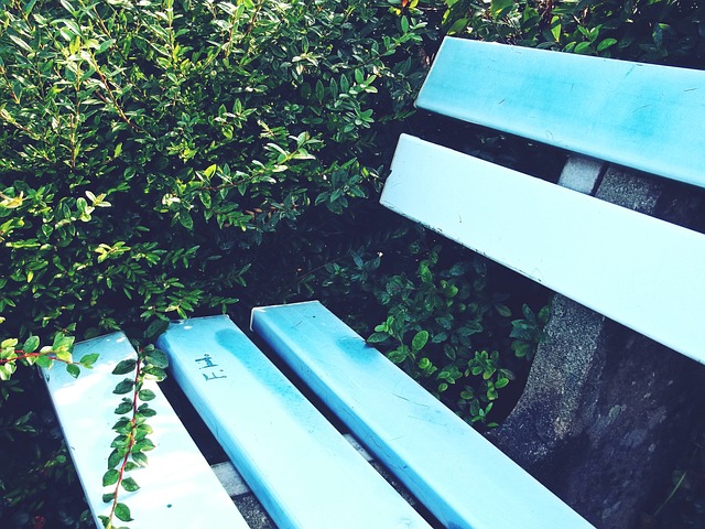 引入高水平 引入高水平