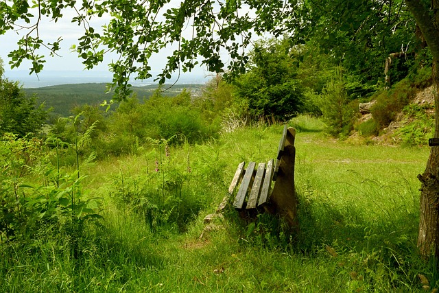 一些与欧冠 一些与欧冠
