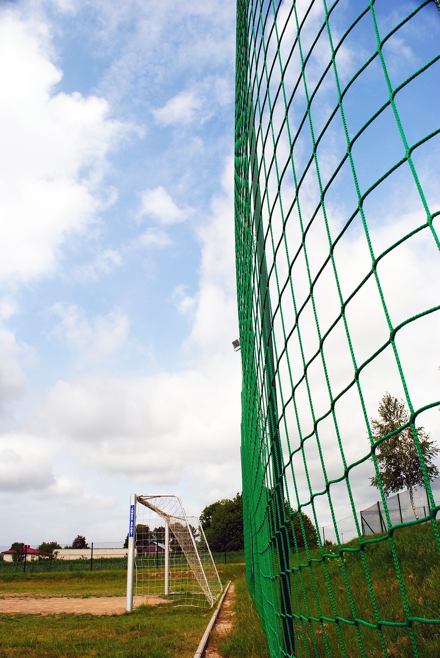 这次的事件 这次的事件