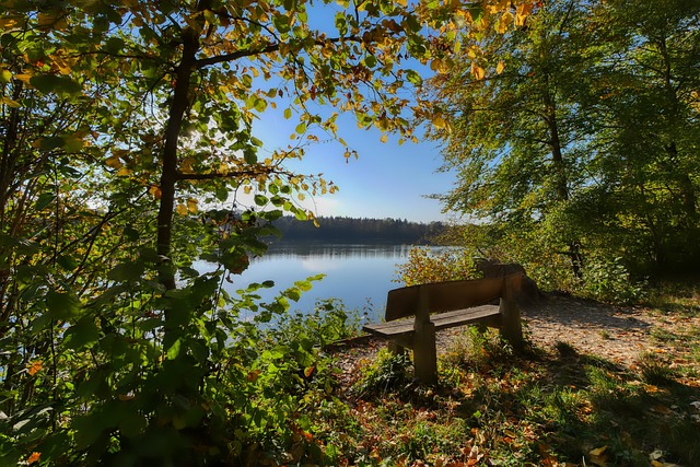 將使得拜仁 將使得拜仁