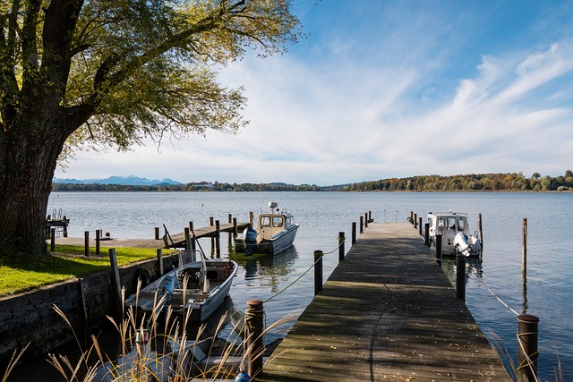 英足总官方：刘易斯-斯凯利的红牌被认定为误判.